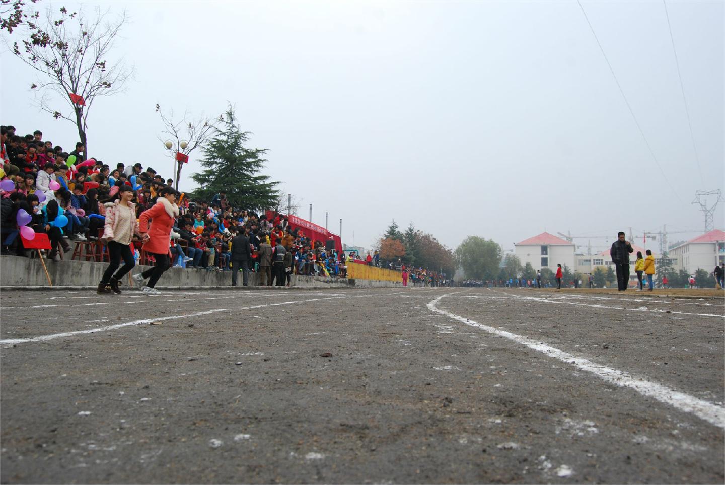 2014年秋期运动会（运动员篇）