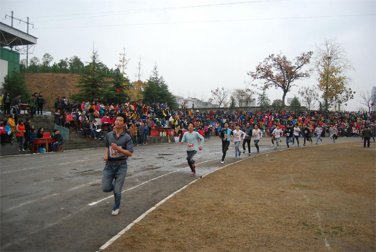 2014年秋期运动会（运动员篇）