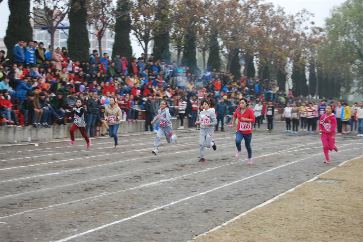 2014年秋期运动会（运动员篇）