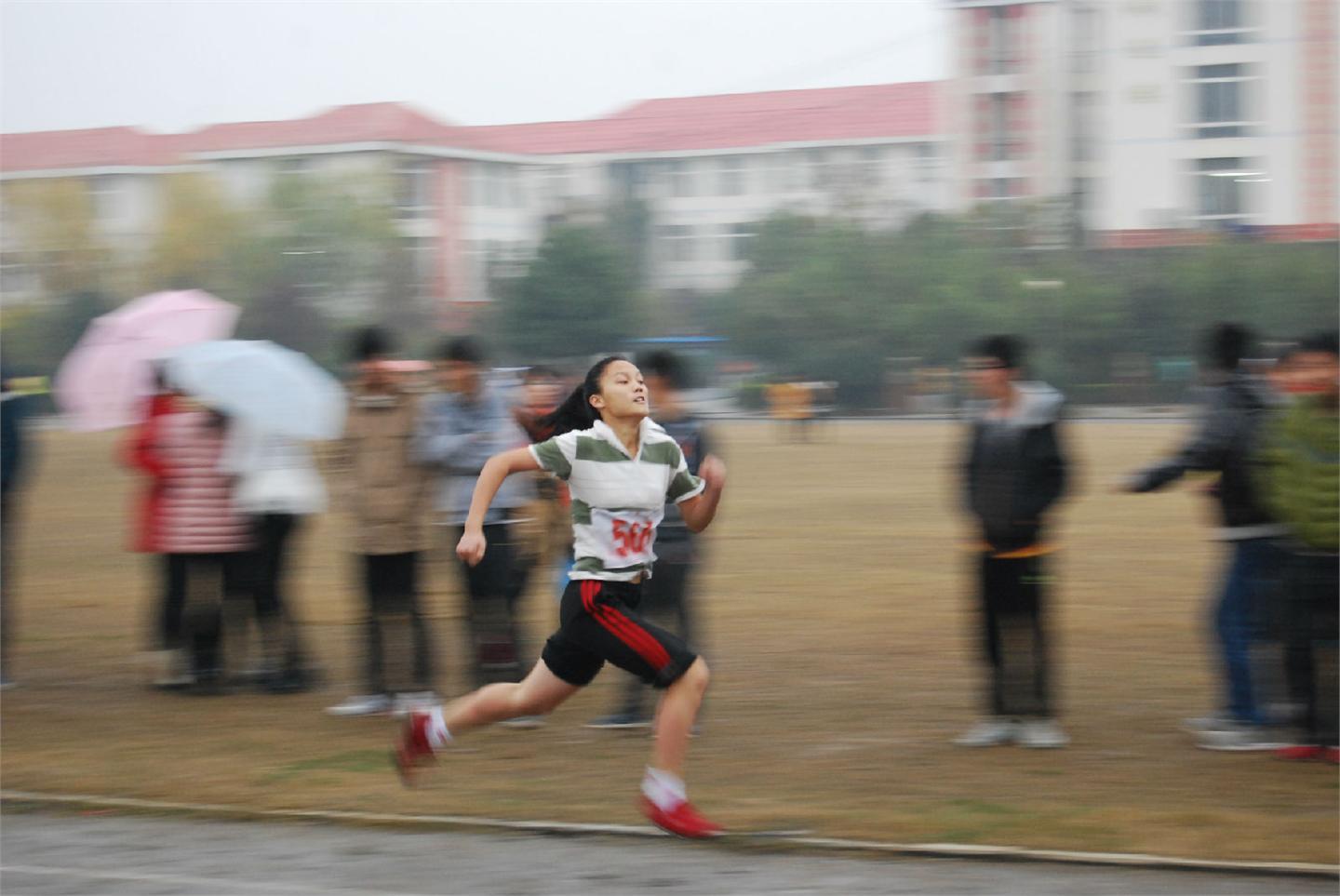 2014年秋期运动会（运动员篇）